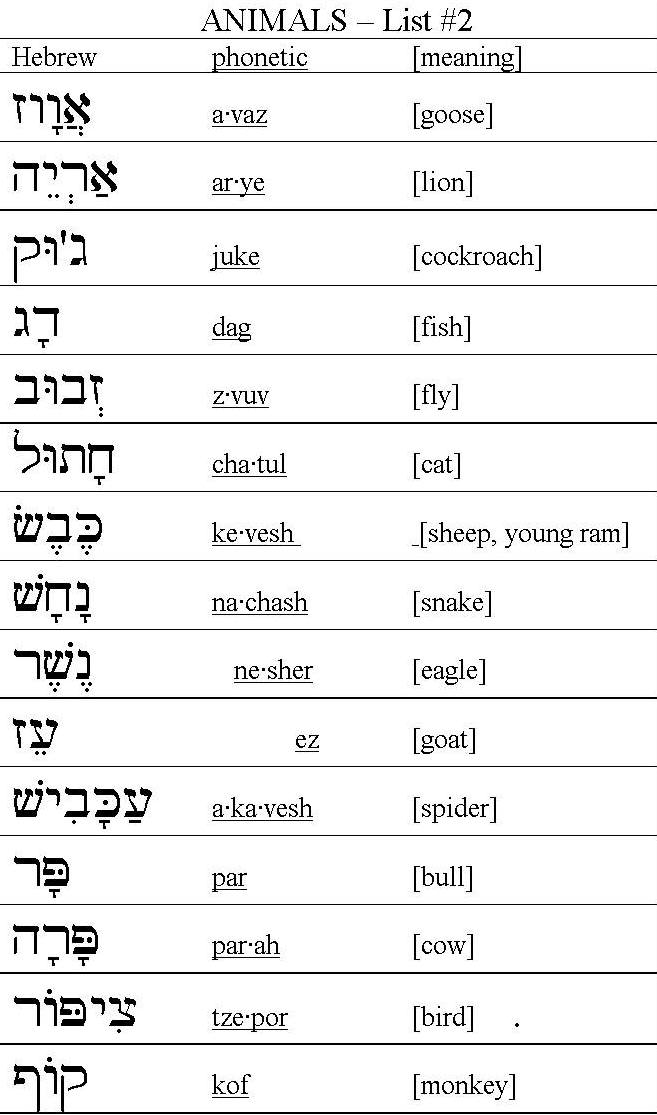 Crazy Herb's Hebrew Words - Animal Name Quiz