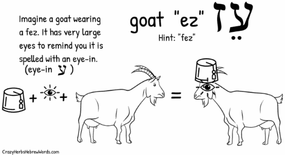 Goat in Hebrew